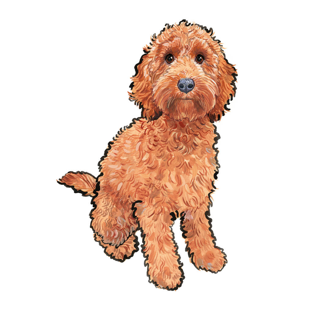 Red Cockapoo Print By Pet Portrait Illustration