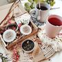 'Tea Ritual' Loose Tea Selection With Reusable Tea Bags, thumbnail 11 of 11