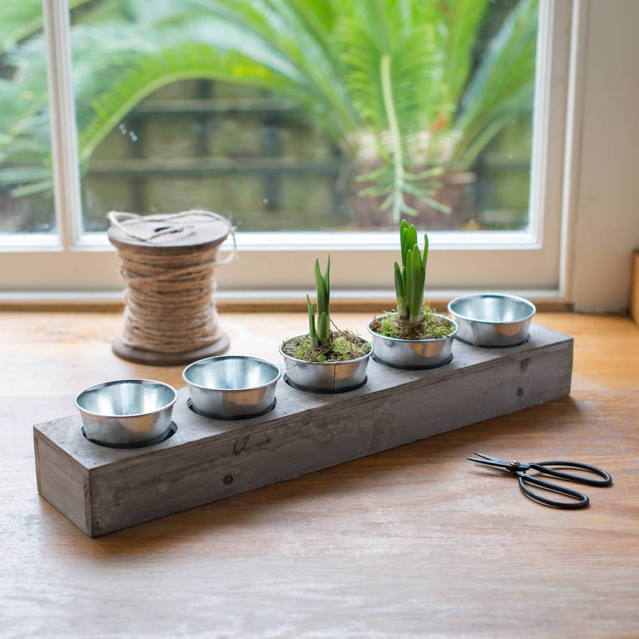 wooden tray of zinc plant buckets by the flower studio