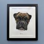 Personalised Original Watercolour Pet Portrait, thumbnail 12 of 12
