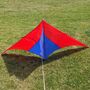 Giant Delta Kite, thumbnail 2 of 11