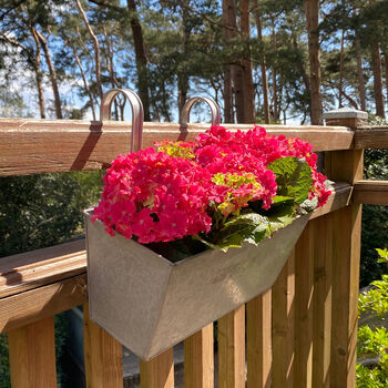 Pair Of Zesty Zinc Balcony Flower And Herb Planters, 2 of 6