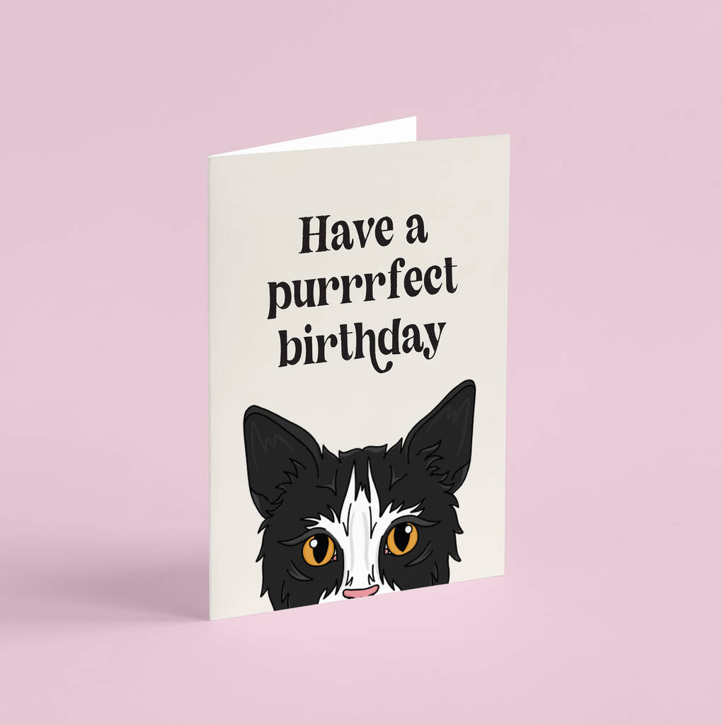 Funny Cat Lover A6 Birthday Card By Penny And Me