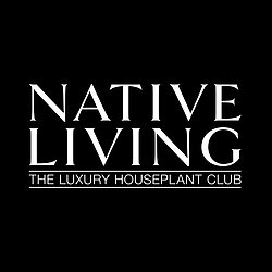NATIVE LIVING ABI GREEN