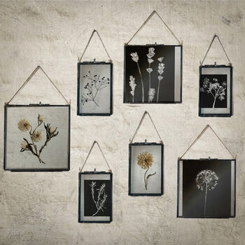 Small Antique Pressed Flower Frame: Straw Flower, 5 of 8