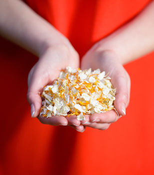 10 Handfuls Of Biodegradable Petal Wedding Confetti, 12 of 12