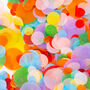 Rainbow Wedding Confetti | Biodegradable Paper Confetti, thumbnail 1 of 7