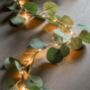 Eucalyptus LED Garland, thumbnail 1 of 3