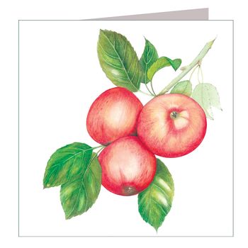 Apples Greetings Card, 2 of 5