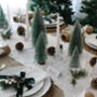 Winter Wonderland Festive Christmas Tablescape, thumbnail 6 of 11
