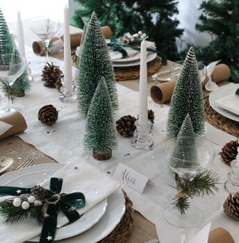 Winter Wonderland Festive Christmas Tablescape, 6 of 11