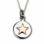Lucky Star Good Luck Necklace In Rose Gold Or Silver, thumbnail 2 of 5