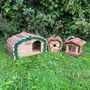 Happy Hedgehog House And Bird Box Gift Set, thumbnail 3 of 8