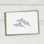 Dolphin Pod Greetings Card, thumbnail 2 of 3