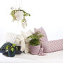 Recycled Crochet Hanging Plant Pot, thumbnail 5 of 12