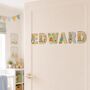 Peter Rabbit Handpainted Wooden Letters, thumbnail 1 of 9