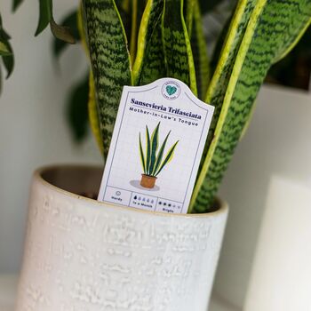 House Plant Tags, 3 of 4