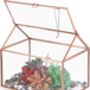 Rose Gold Glass Geometric Plant Terrarium With Lid, thumbnail 6 of 7