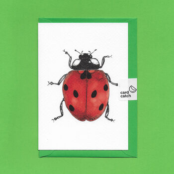 Hand Drawn Ladybird Illustrated Blank Greeting Card, 4 of 10