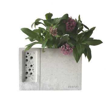 Beepot Planter In Concrete, 5 of 9