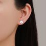 Sterling Silver Tiny Minimalist Border Collie Dog Stud Earrings, thumbnail 8 of 12