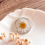 Handmade Real Daisy Necklace, thumbnail 1 of 7