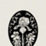 Language Of Flowers No Two. Illustration Print, thumbnail 3 of 3