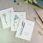 Set Of Six Botanical Wildflower Mini Notecards, thumbnail 3 of 7