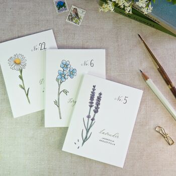 Set Of Six Botanical Wildflower Mini Notecards, 3 of 7