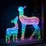 Twinkly Smart LED Outdoor Christmas Doe And Fawn, thumbnail 1 of 12