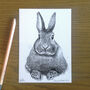 Sketch Of Your Pet, thumbnail 2 of 5