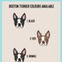 Boston Terrier T Shirt, thumbnail 4 of 6