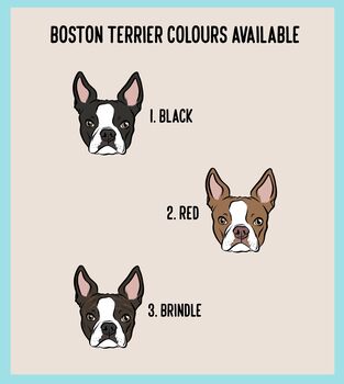 Boston Terrier T Shirt, 4 of 6