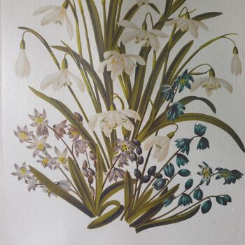 Snowdrop Flower Print Cotton Tote Bag Gift For Winter, 7 of 8