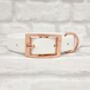 Waterproof Dog Collar And Lead Set White, thumbnail 2 of 3