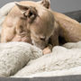 Charley Chau Faux Fur Dog Blanket In Silver Mink, thumbnail 4 of 5