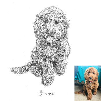 Personalised Pen And Ink Pet Portrait, 3 of 10