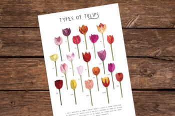 Tulips Print, 2 of 3