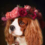 Vintage Pet Portrait, thumbnail 2 of 5