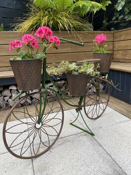 Steel Bike Planter, 6 of 12