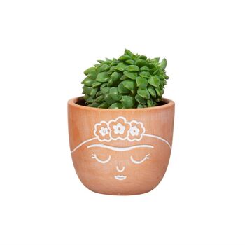 Terracotta Girl Face Planter With Choice Of Plant, 3 of 3