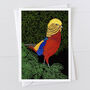 Golden Pheasant Greeting Card, thumbnail 1 of 2