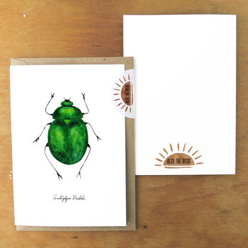 Green Beetle A6 Greetings Cards, 2 of 7