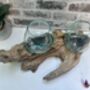 Teak Root Wooden Display With Double Molten Glass Bowls, thumbnail 3 of 11