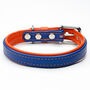 Padded Leather Dog Collar, thumbnail 3 of 7