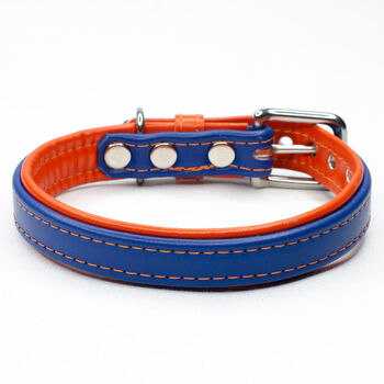 Padded Leather Dog Collar, 3 of 7