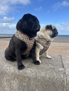 Woodland Badger Dog Harness, 10 of 12