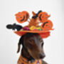 Trick Or Treat Harry Halloween Dog Harness, thumbnail 10 of 10