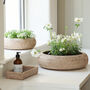 Marbury Round Rattan Table Planter, thumbnail 4 of 8