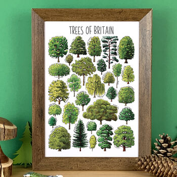 Trees Of Britain Art Blank Greeting Card, 6 of 6